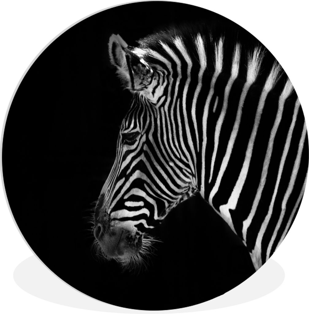 MuchoWow Rundes Wandbild - Runde Bilder Zebra - Wilde Tiere - Schwarz Ø 30 cm Kreis Wanddekoration Kunststoff - Wandkreis - Wandschmuck - Schlaf...