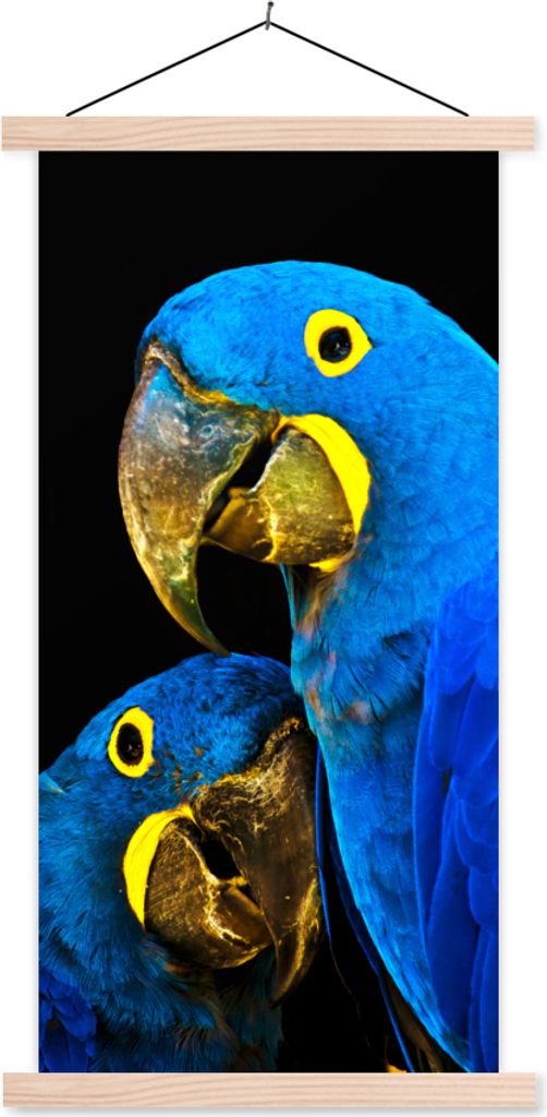 MuchoWow Textilposter Papagei - Vogel - Federn - Blau 40x80 cm mit holzfarbenen Rahmen - Wohnzimmer