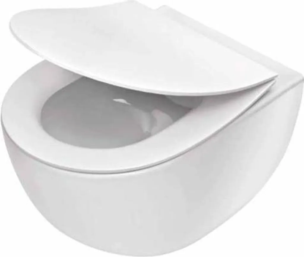 Cuvette WC suspendue sans bride avec abattant amovible silencieux