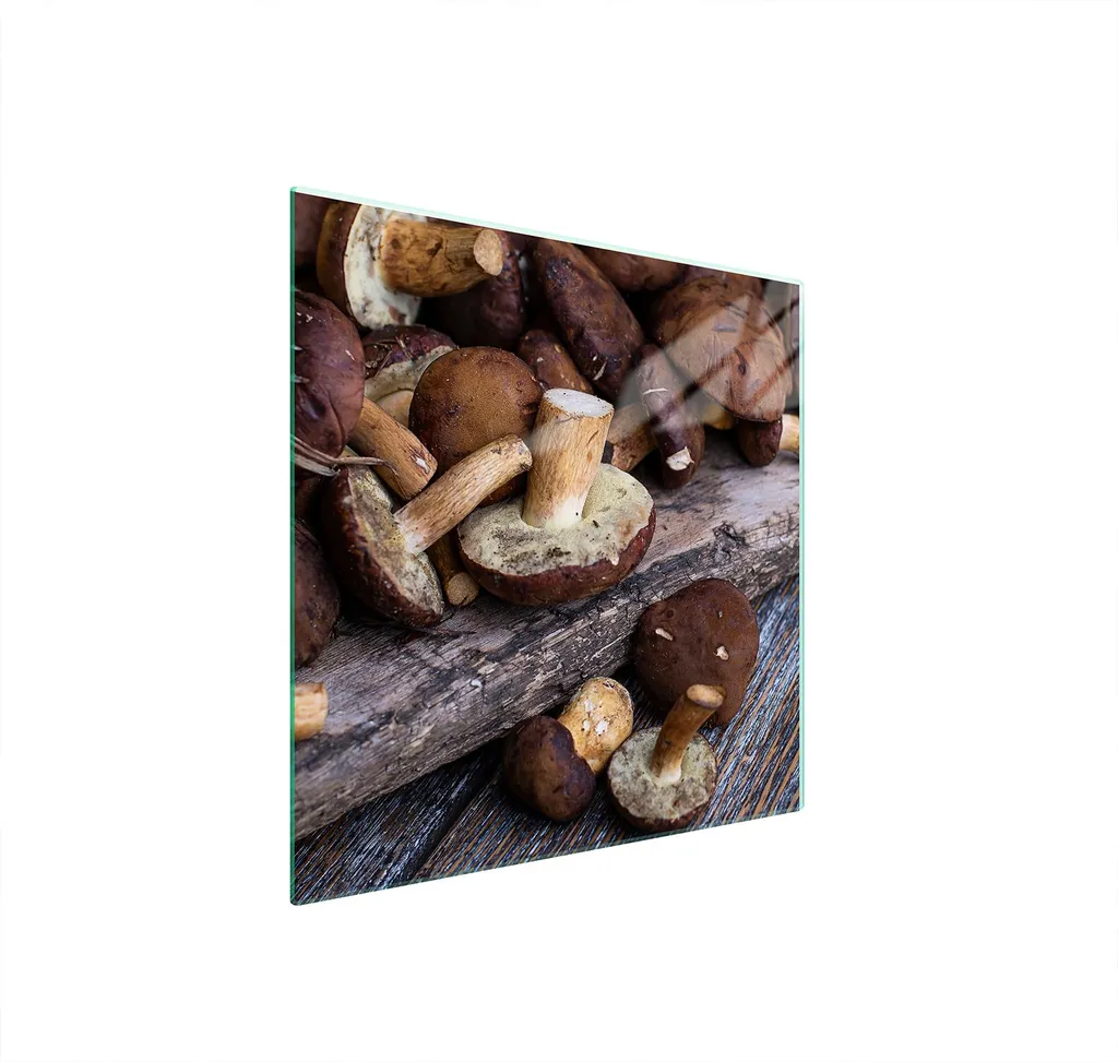 Coprifornelli in Vetro 50x52 Funghi Pilze | Tagliere e Protezione Cucina