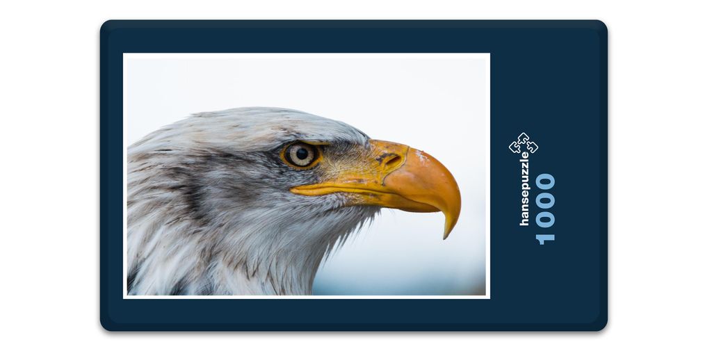 hansepuzzle 12840 - Weißkopf-Seeadler Puzzle, 1000 Teile, Natur, 60,0 x 46,0cm mit hochwertiger Aufbewahrung, Kartonbox & Beutel