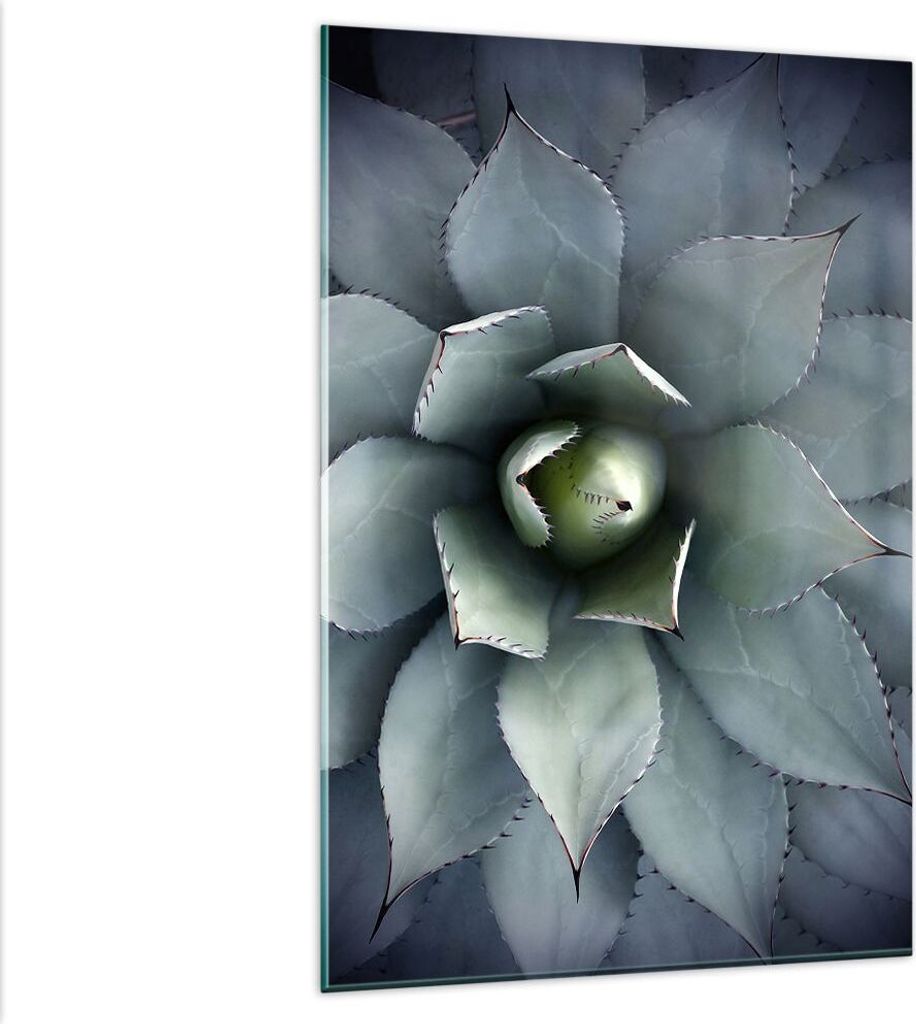 Bilder auf glas - Einteilig - Blau Blätter Agave - 80x120cm - Glasbilder - Wandbilder - Bilder - zum Aufhängen bereit - Wanddekoration aus Glas -...