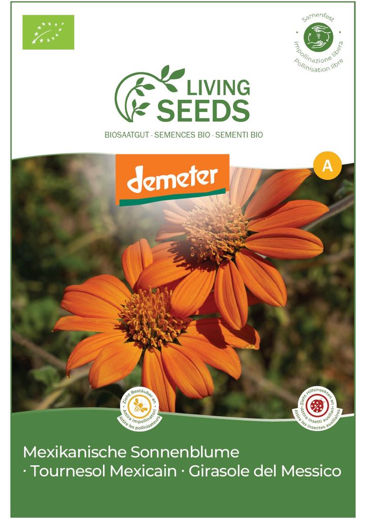 Mexikanische Sonnenblume 4.1g Saatgut von Living Seeds Produktbild 