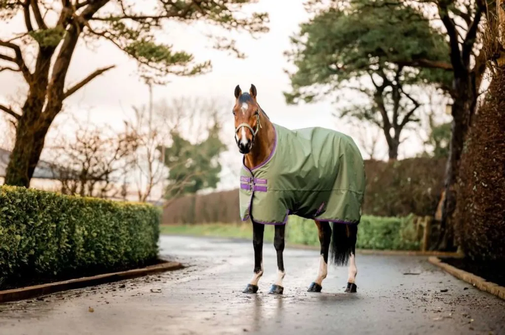 Équiper son cheval d'une couverture Amigo Hero 600D Ripstop 50g au pré