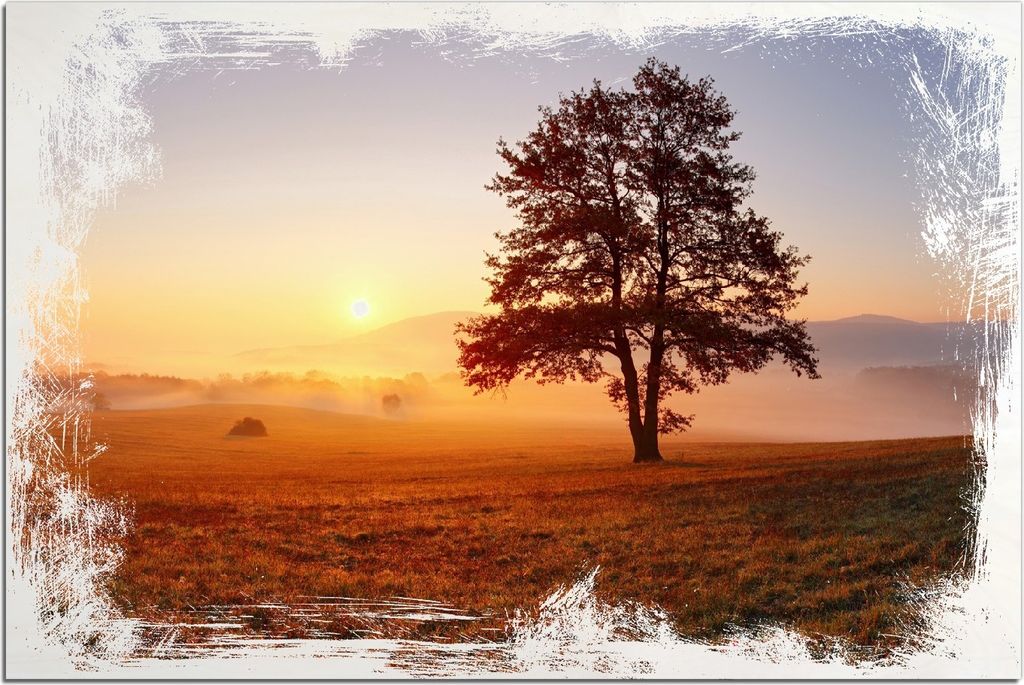 Kunstdrucke Wandbilder Holz in : Brillante Farben, Größe 60 x 90 cm Motiv Sonnenaufgang über der Wiese mit Nebel