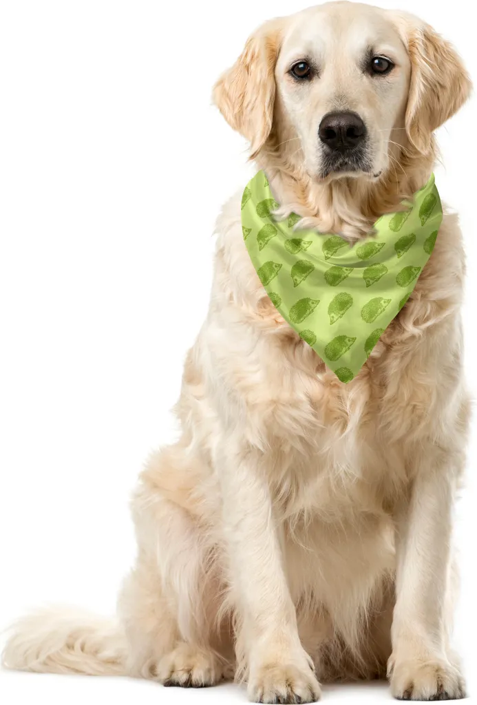 Abakuhaus Bandana Ricci Verdi 55x55 cm - Regalo per Amanti Animali