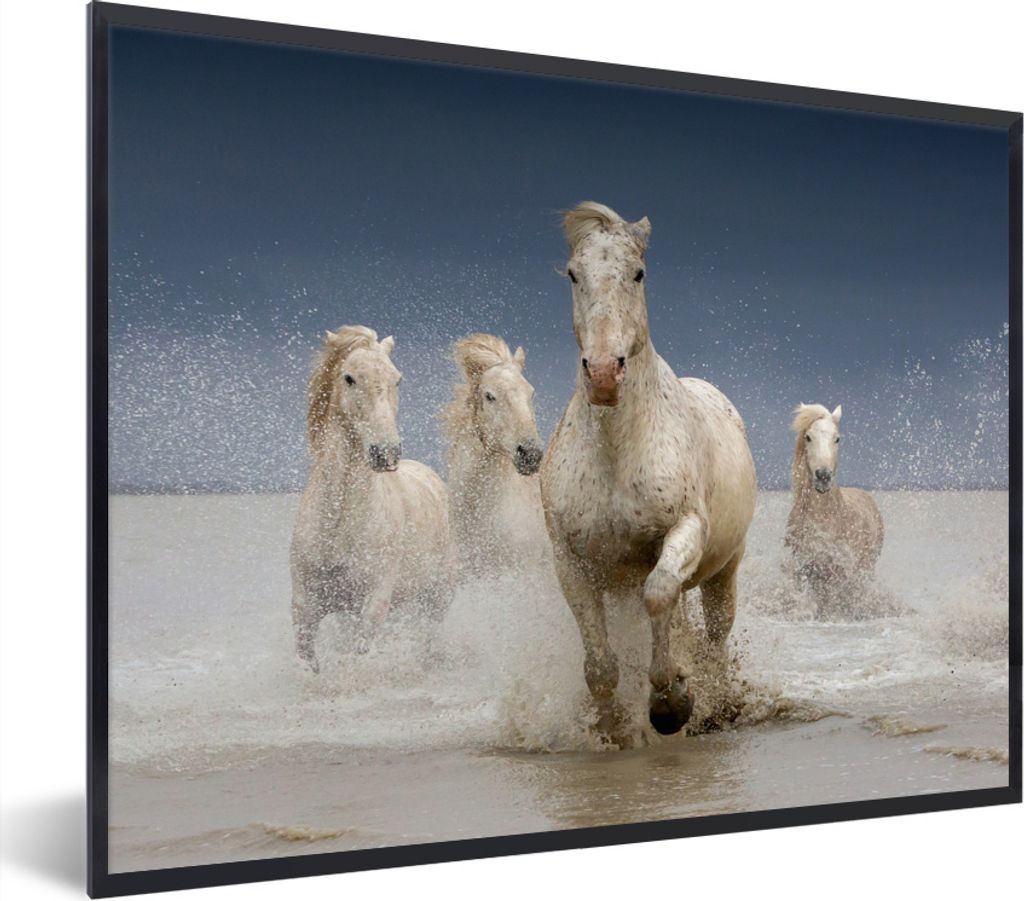 MuchoWow Gerahmtes Poster Pferde - Wasser - Frankreich 80x60 cm - Poster mit Schwarzem Bilderrahmen Wandposter Rahmen Foto Bilder - Schwarzem - M...