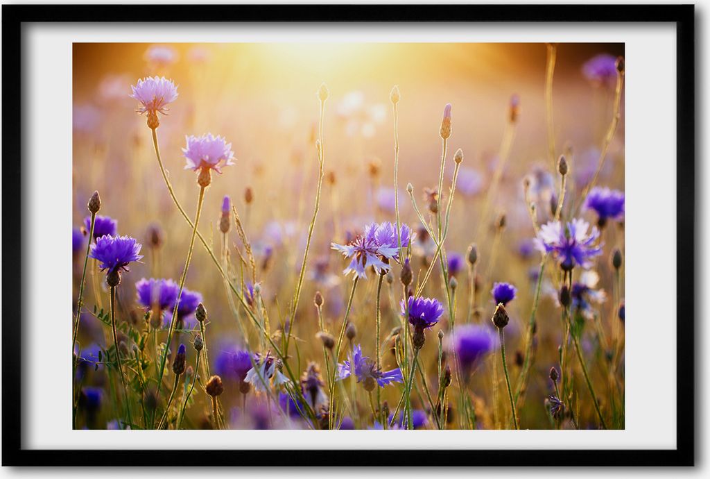 Bild 60x40 MDF-Rahmen, Wandkunst Feldblumen