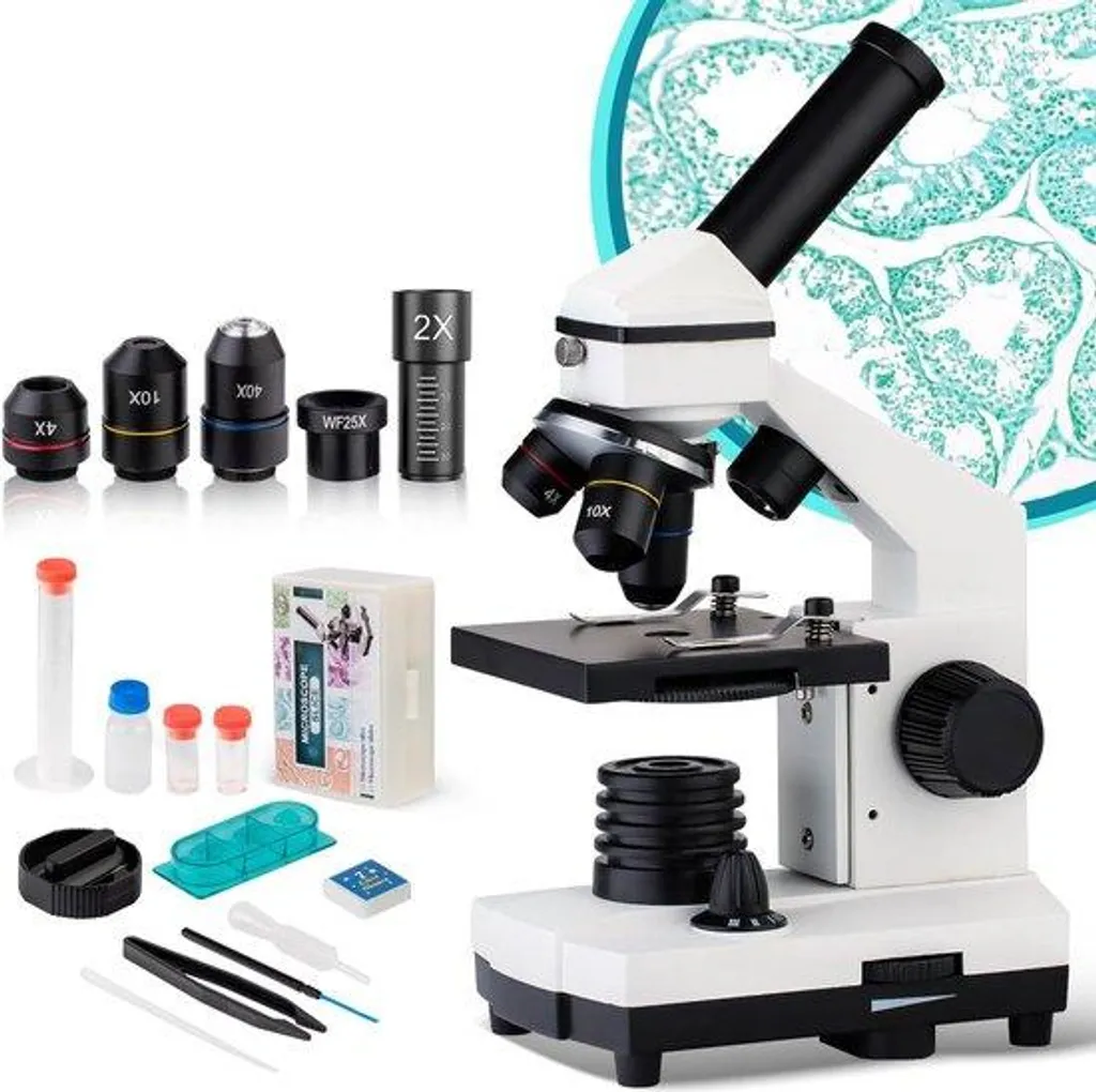 Microscope de Voyage pour Enfant - Mini Loupe de Poche Zoom 120x Educative