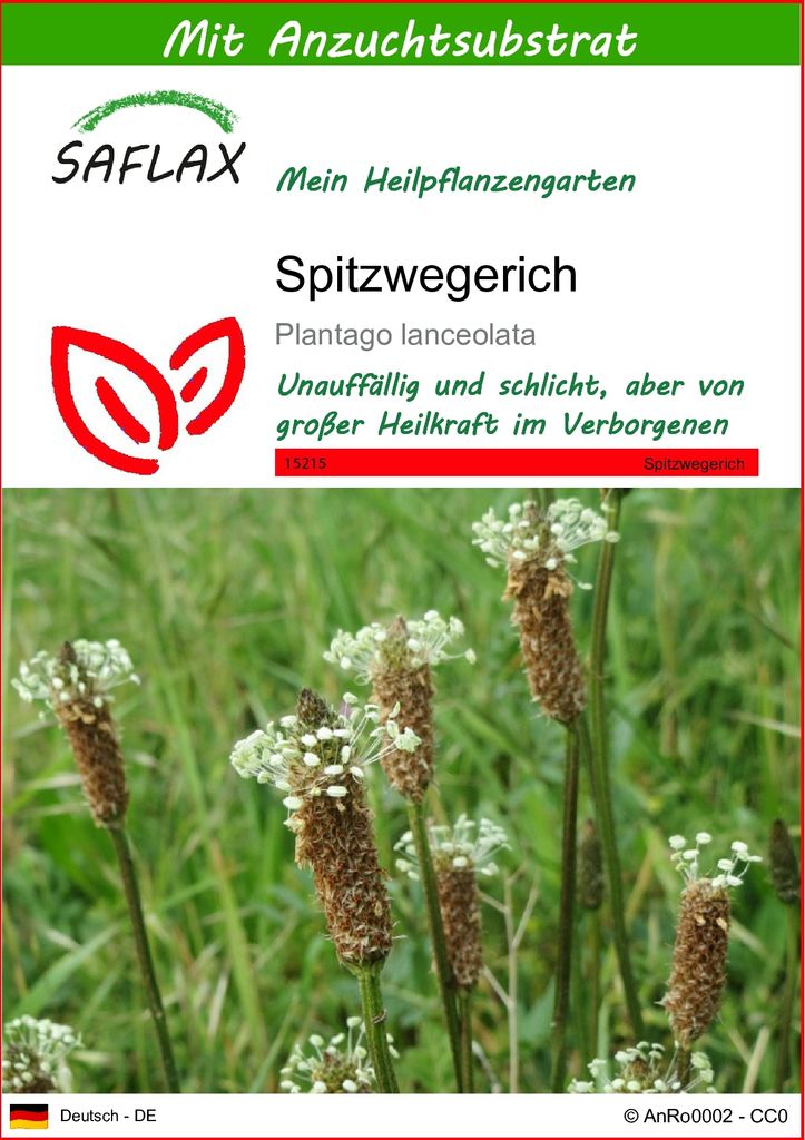 SAFLAX - Heilpflanzen - Spitzwegerich - 100 Samen - Mit Produktbild 