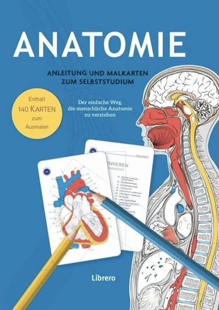 Guide Anatomie avec Cartes Illustrées à Peindre pour Étude Solo