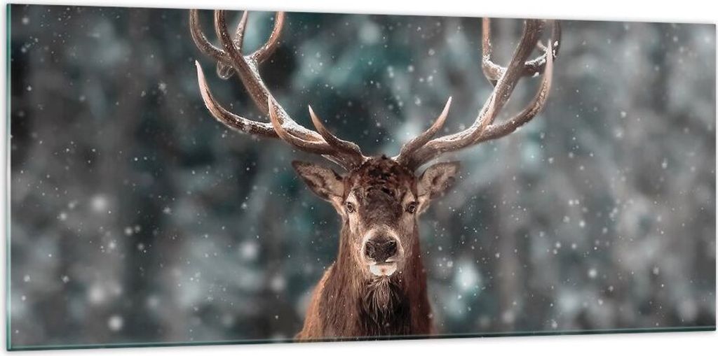 Bilder auf glas - Einteilig - Hirsch Hirsch Winter - 120x50cm - Glasbilder - Wandbilder - Bilder - zum Aufhängen bereit - Wanddekoration aus Glas ...