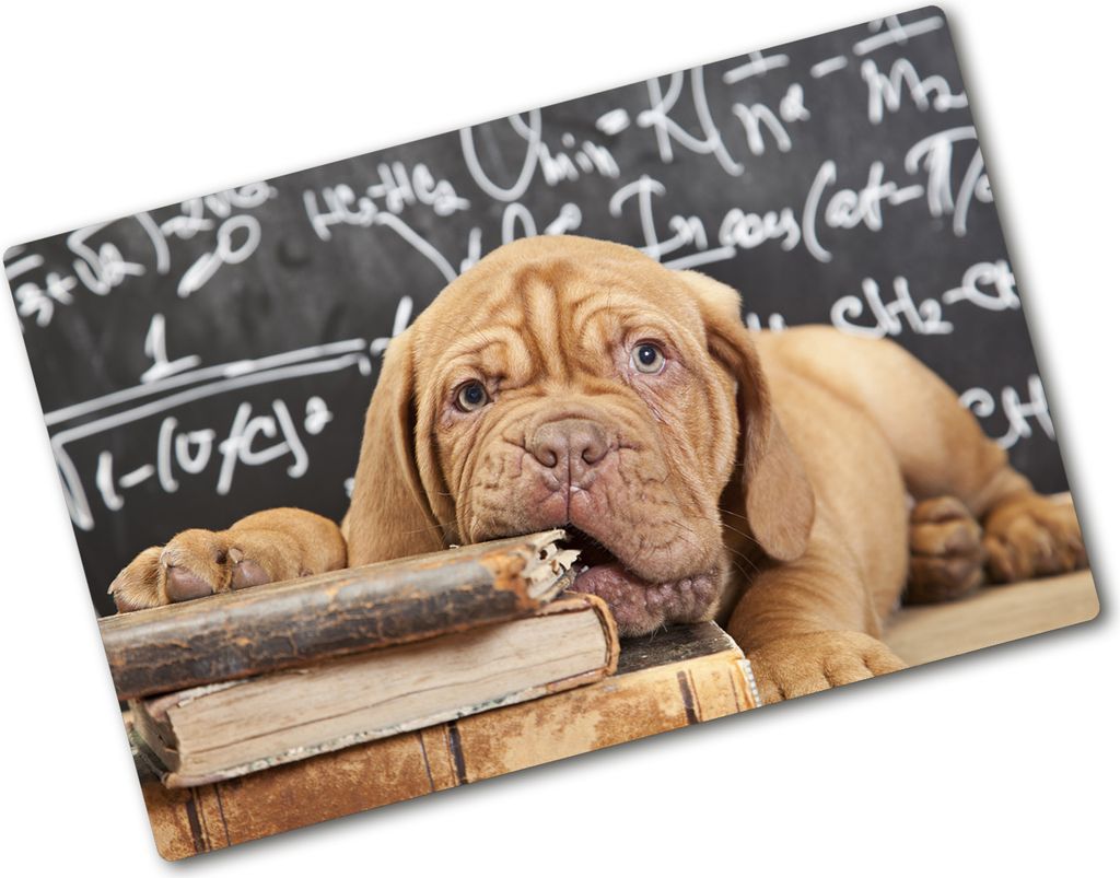 Tulup Glas Herdabdeckplatte - 80x52 cm - Glaskeramikkochfeld-Abdeckung Spritzschutz Glasabdeckplatte - Einteilig - Tiere - Hund beißt Buch - Beige