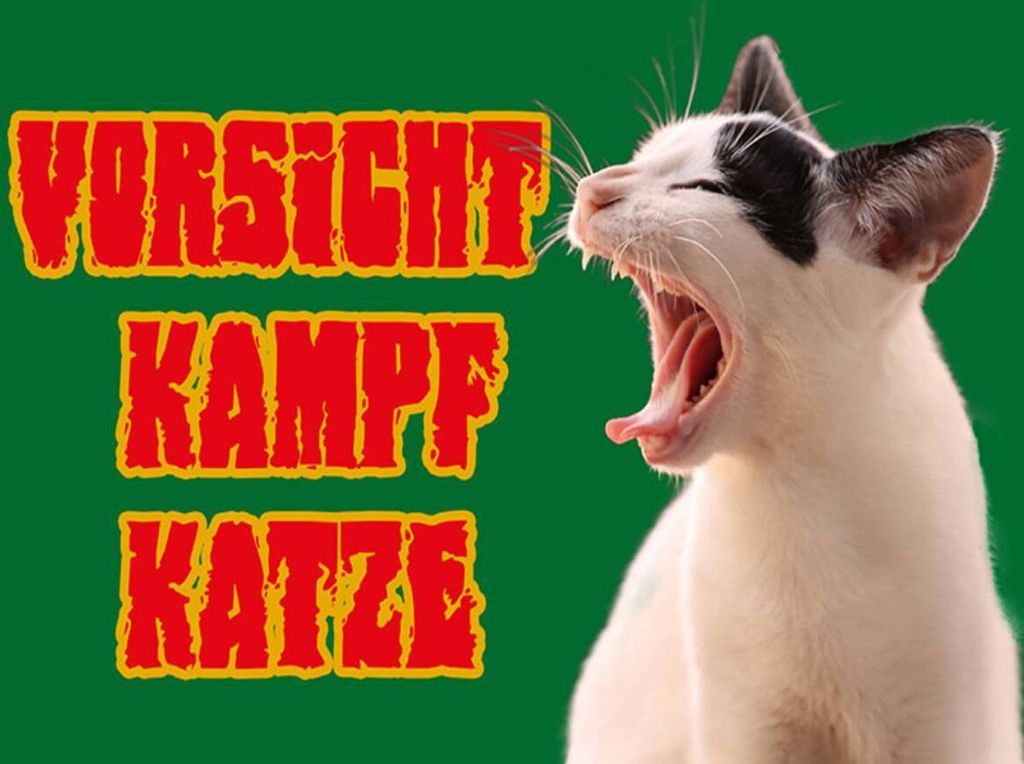 vianmo Holzschild 30x40 cm Vorsicht Kampfkatze grün