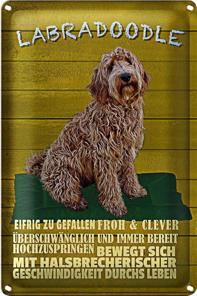 Blechschild Spruch 40x30cm Labradoodle Hund froh und clever