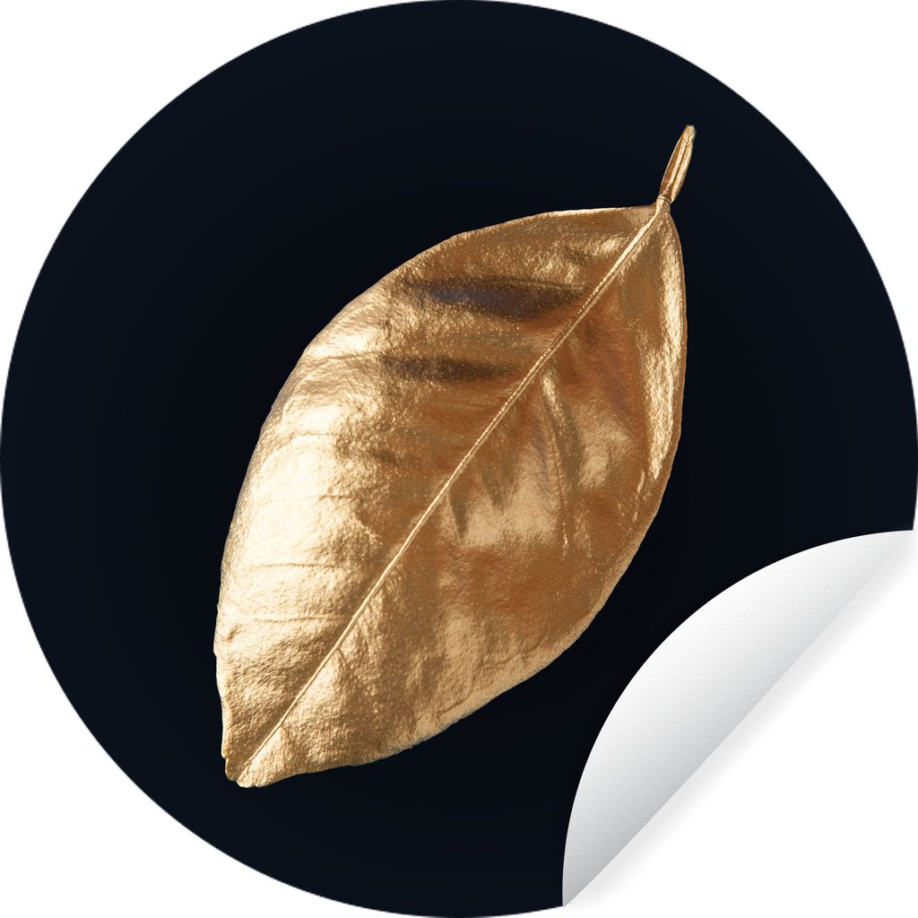 MuchoWow Runde Wandtattoo - Wandsticker Tapete Aufkleber Blätter - Schwarz und Gold - Luxus - Natur - Pflanzen Ø 80 cm Selbstklebend und Reposi...