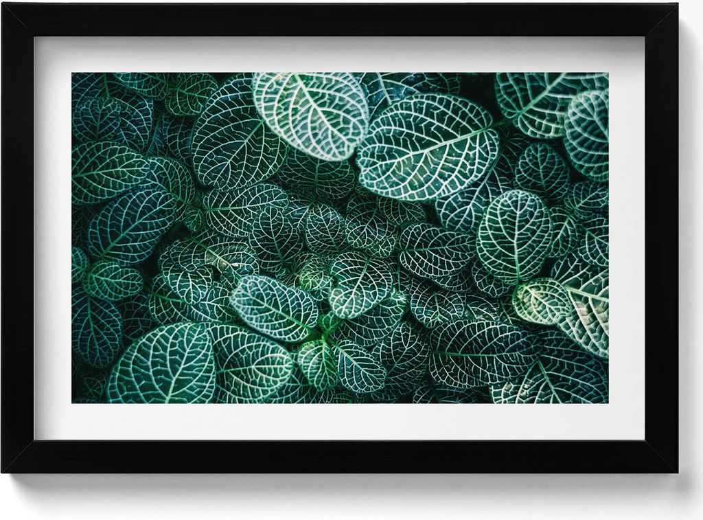 Grüne wilde Blätter– Wandbild mit Rahmen – Gerahmtes Bild – Wanddekoration – 30x20 cm – Schwarz Rahmen