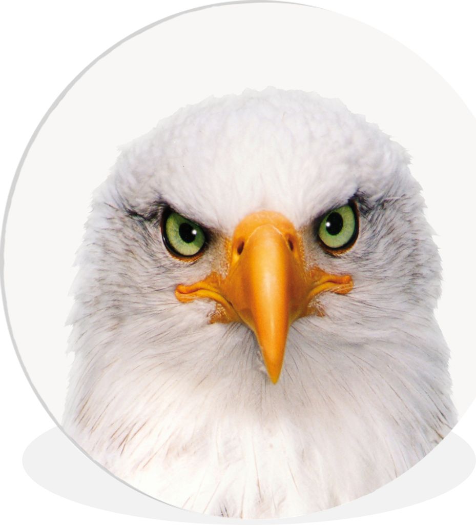 MuchoWow Rundes Wandbild - Runde Bilder Jungen - Adler - Amerikanischer Weißkopfseeadler - Vogel - Porträt - Schnabel - Augen Ø 90 cm Kreis Wa...