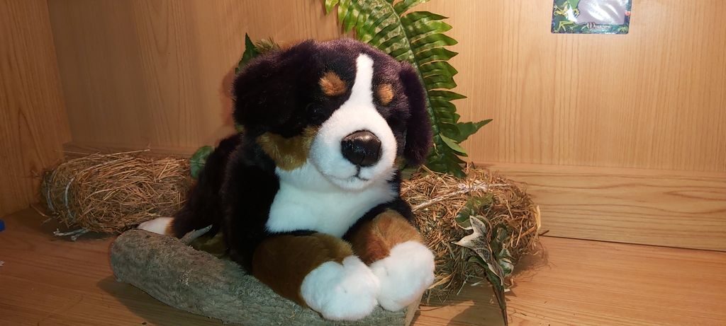 Uni Toys Berner Sennenhund liegend 35cm Plüschtier Kuscheltier Stofftier 