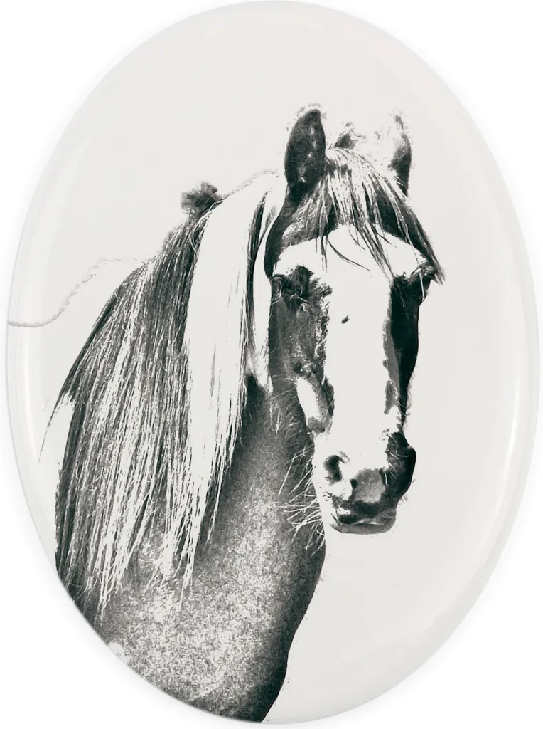 Ricorda il tuo Fell Pony | Targa Commemorativa con Foto Art-Dog