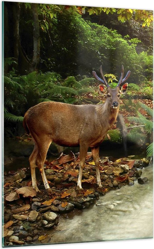 Bilder auf glas - Einteilig - Herbst berg strom landschaft - 70x100cm - Glasbilder - Wandbilder - Bilder - Wanddekoration aus Glas - Glas Bilder - ...