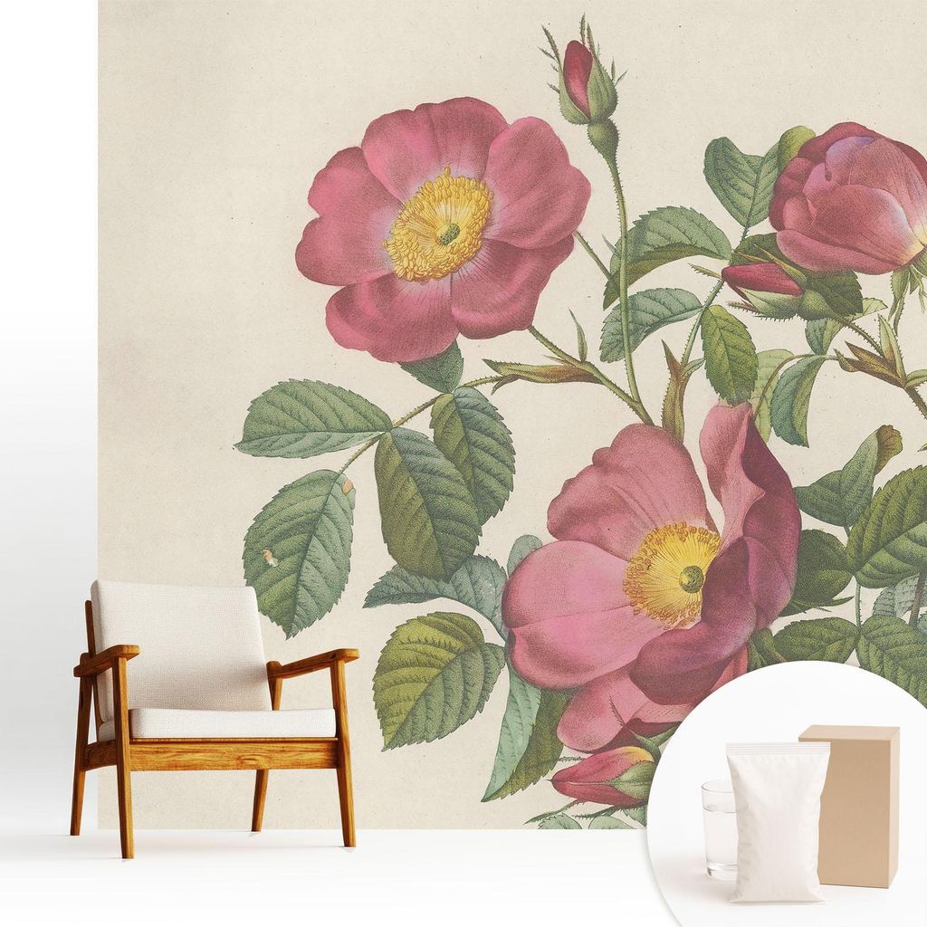 Fototapete - 250x250 cm - Tapete - Wandtapete - Wandbilder - Dekofolie - Tapete Folie - Wand - Dekoration - Wohnzimmer - Rosenmotiv
