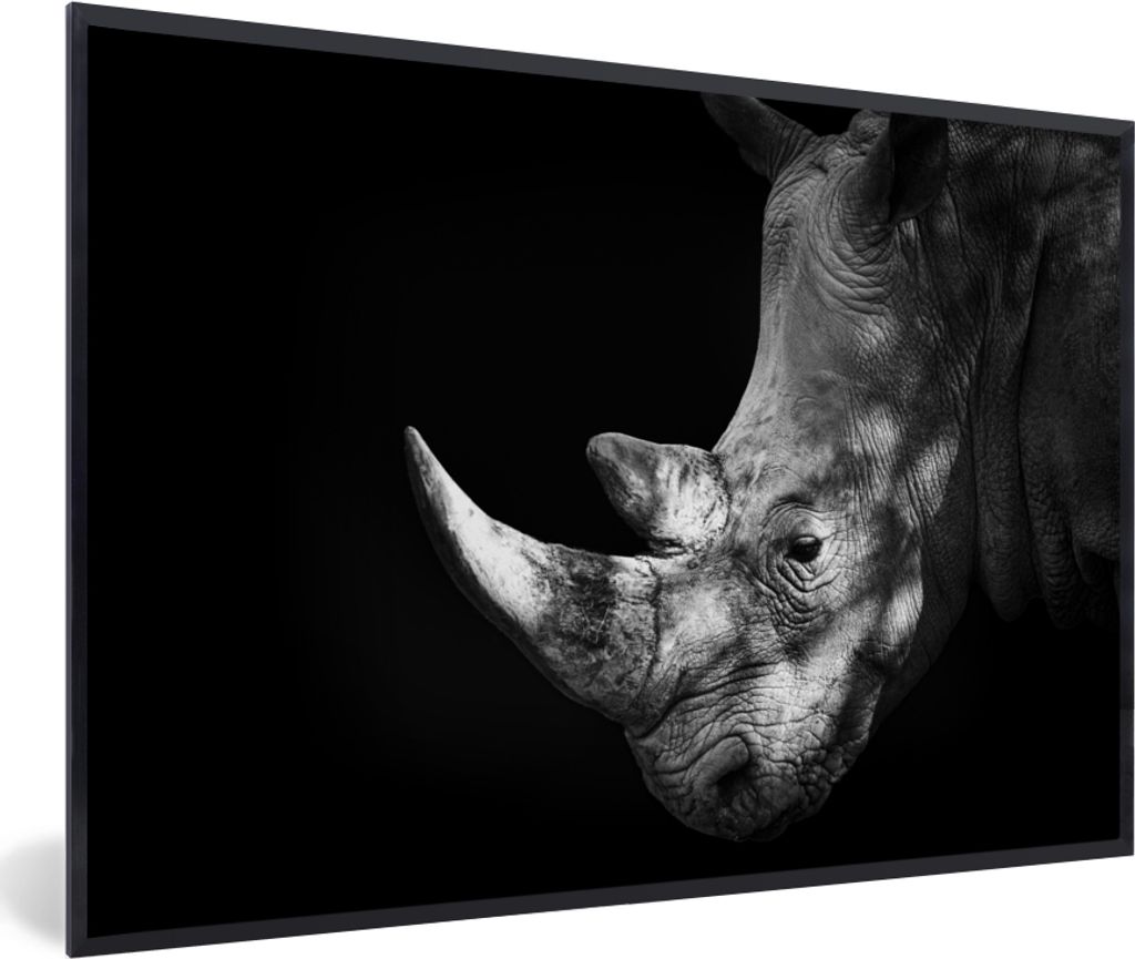 MuchoWow MuchoWow Gerahmtes Poster Rhinozeros - Tier - Licht 30x20 cm - Poster mit zchwarzem Bilderrahmen - Kunstdruck - Bild-Poster