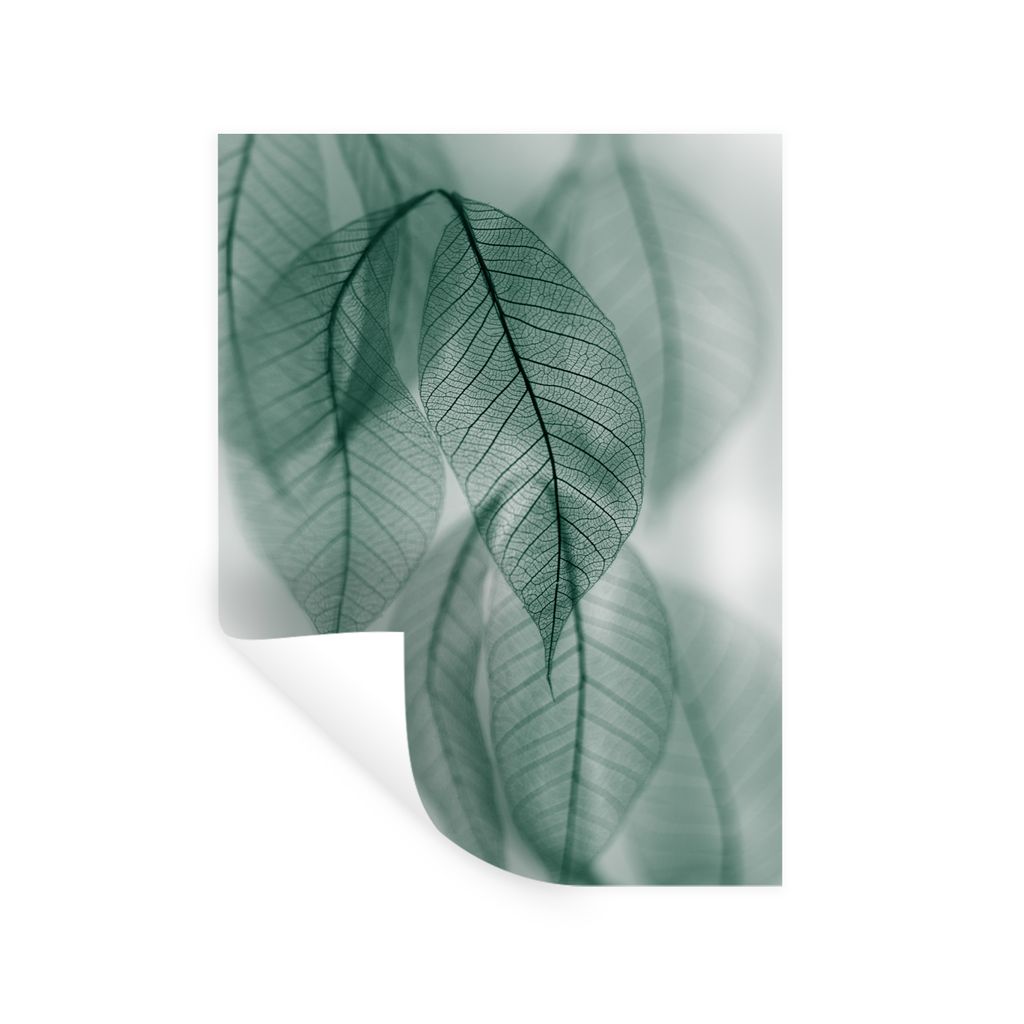 MuchoWow Wandtattoo Wandsticker Wandaufkleber Blätter - Grün - Natur - Stilleben 60x80 cm Selbstklebend und Repositionierbar - Repositionierbar...