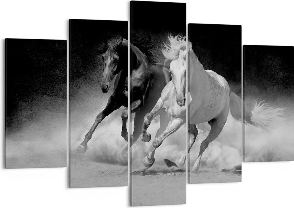 Bild auf Leinwand - Leinwandbild - 5 Teile - Andalusier Pferde Galopp - 150x100cm - Wand Bild - Wanddeko - Wandbilder - Leinwanddruck - Bilder - Wa...