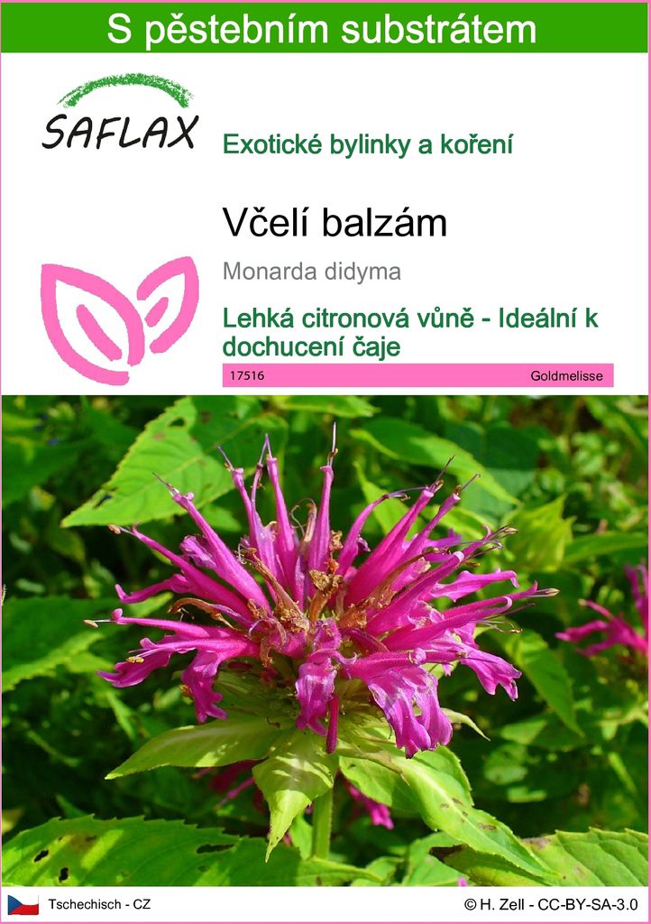 SAFLAX - včelí balzám - Monarda didyma - 20 Semena - S Obrázek produktu 