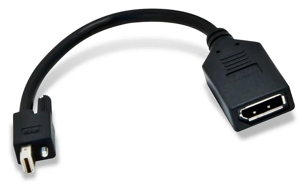 Adaptateur Mini DisplayPort vers DisplayPort femelle Matrox 20cm noir