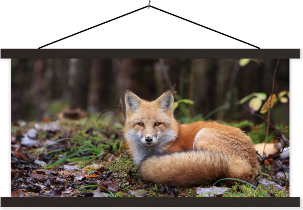 MuchoWow Textilposter Fuchs - Wald - Tier 60x30 cm mit schwarzem Rahmen - Textilien