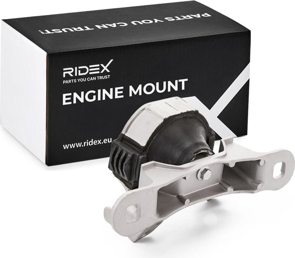 RIDEX Motorlager Vorne Rechts für FORD Focus II Schrägheck (DA, HCP, DP) 247E0381