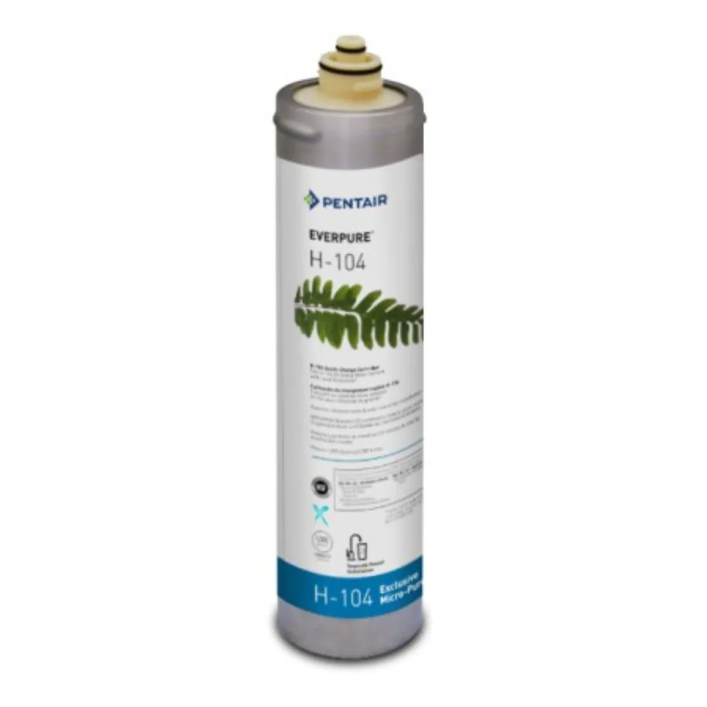 Filtro Everpure H104 EV961346: l'Acqua che i Tuoi Bimbi Meritano