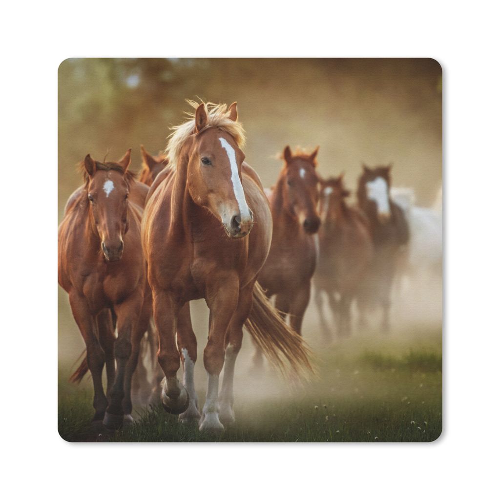 MuchoWow Mauspad Mousepad Pferde - Licht - Natur 20x20 cm - Mousepads - Maus Mat - Pad - Mausunterlage - Desk Mat - Bureauartikeln