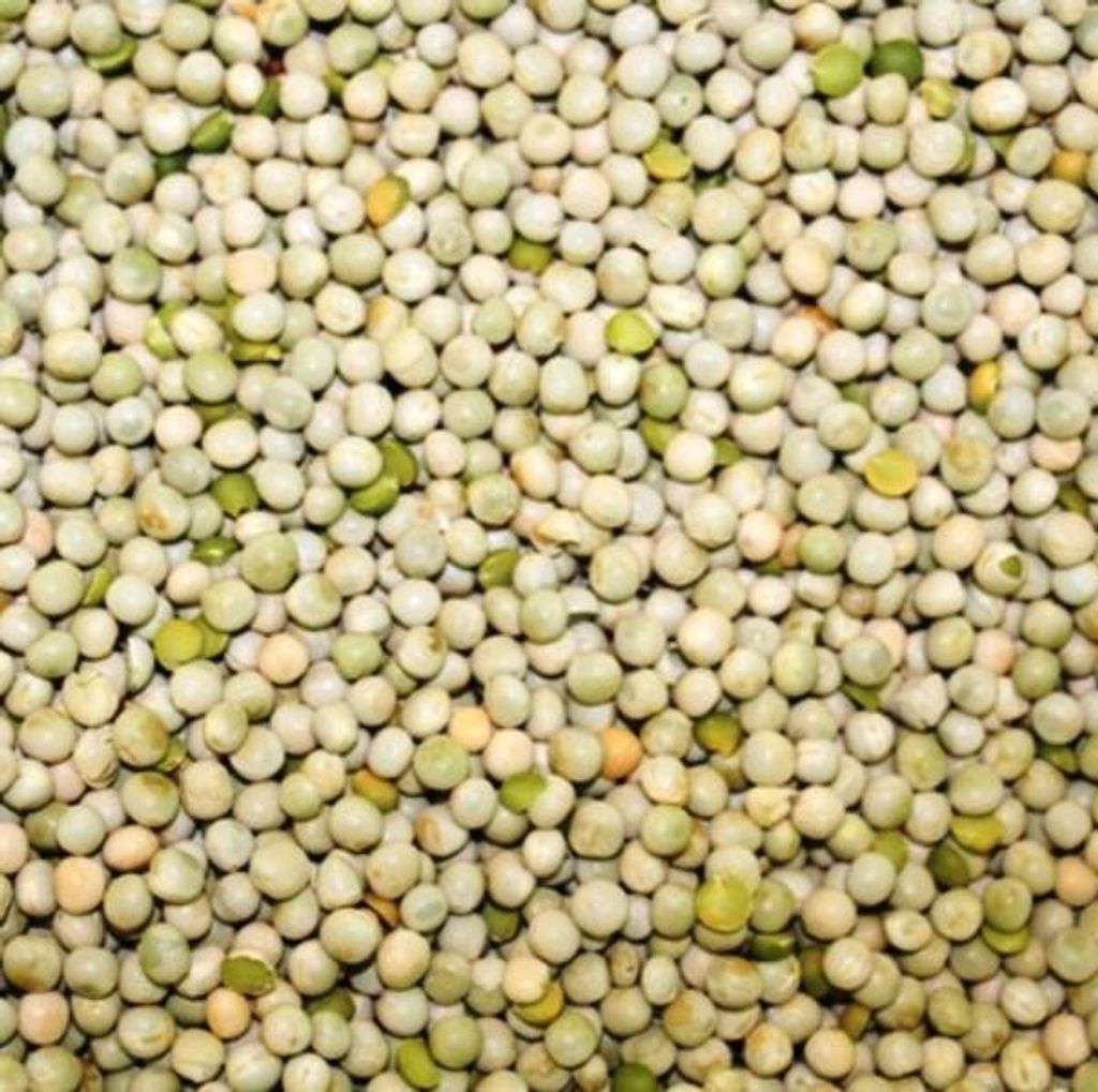 25kg Erbsen grün Produktbild 