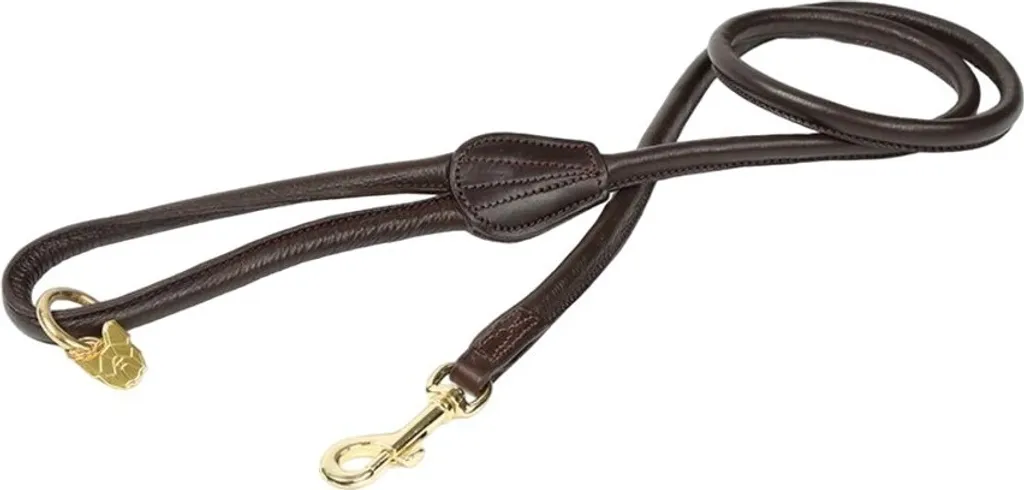 Laisse de Promenade en Cuir Marron Digby & Fox pour Chien Actif