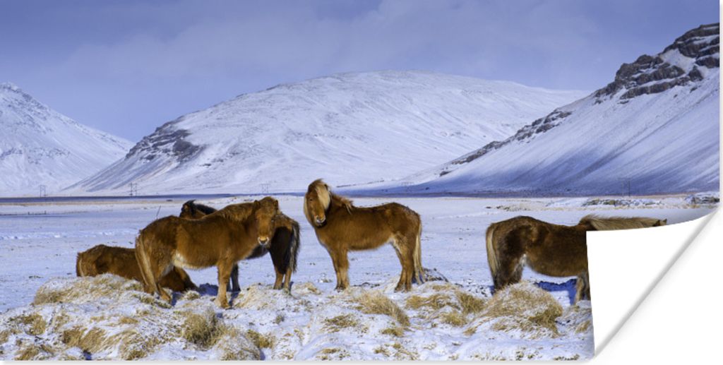 MuchoWow Poster Verschneite Berge mit Isländerpferden 40x20 cm - Poster für die Wand - Poster Schlafzimmer