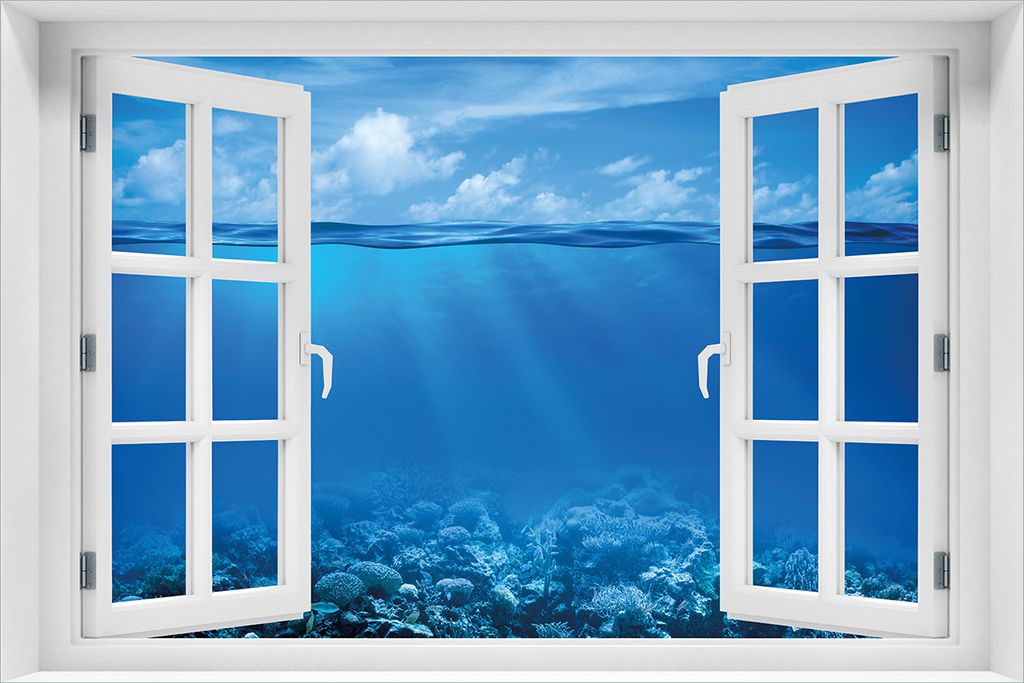 Wallario selbstklebendes Poster mit Fenster-Illusion - Unterwasserwelt Meer, Größe: 61 x 91,50 cm