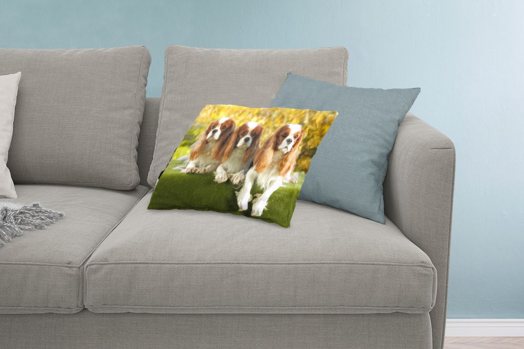MuchoWow Zierkissen Sofakissen Wohnzimmer Dekokissen 60x40 cm Drei schöne Cavalier King Charles Spaniels nebeneinander - Kopfkissen - Polster mi...