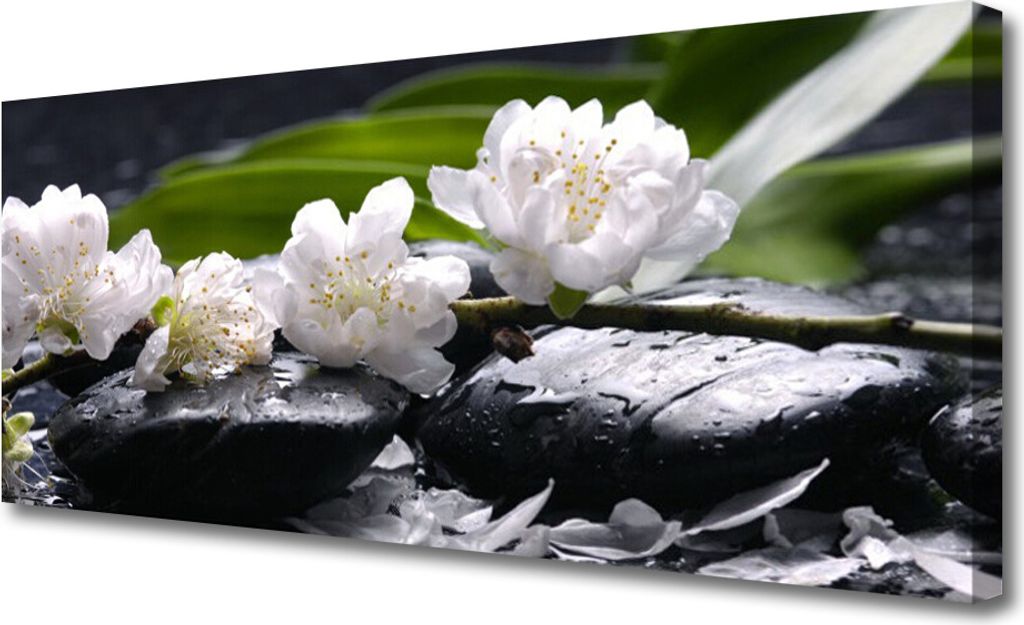Tulup Leinwand-Bilder 125x50 Wandbild Canvas Kunstdruck Blumen Steine Pflanzen
