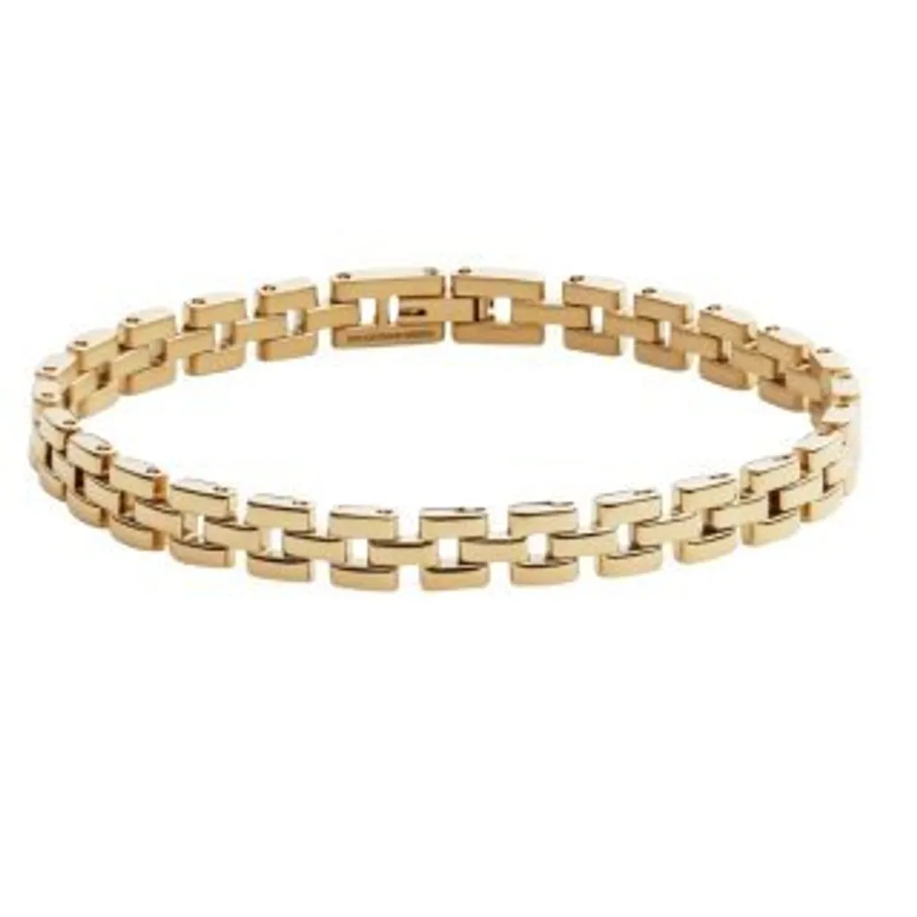 Regalo Donna: Bracciale Daniel Wellington Oro a Maglie Speciale