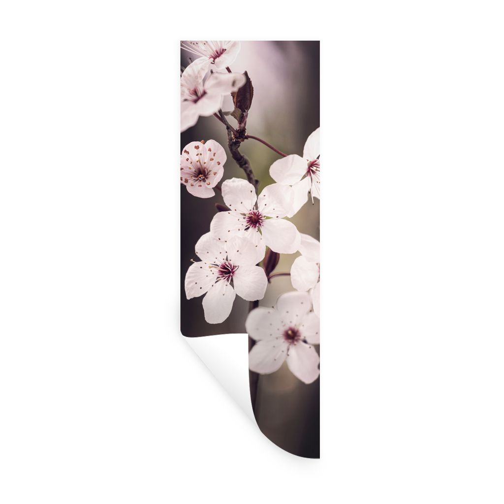 MuchoWow Wandtattoo Wandsticker Wandaufkleber Blumen - Weiß - Natur - Pflanze - Blüte 50x150 cm Selbstklebend und Repositionierbar - Aufkleber