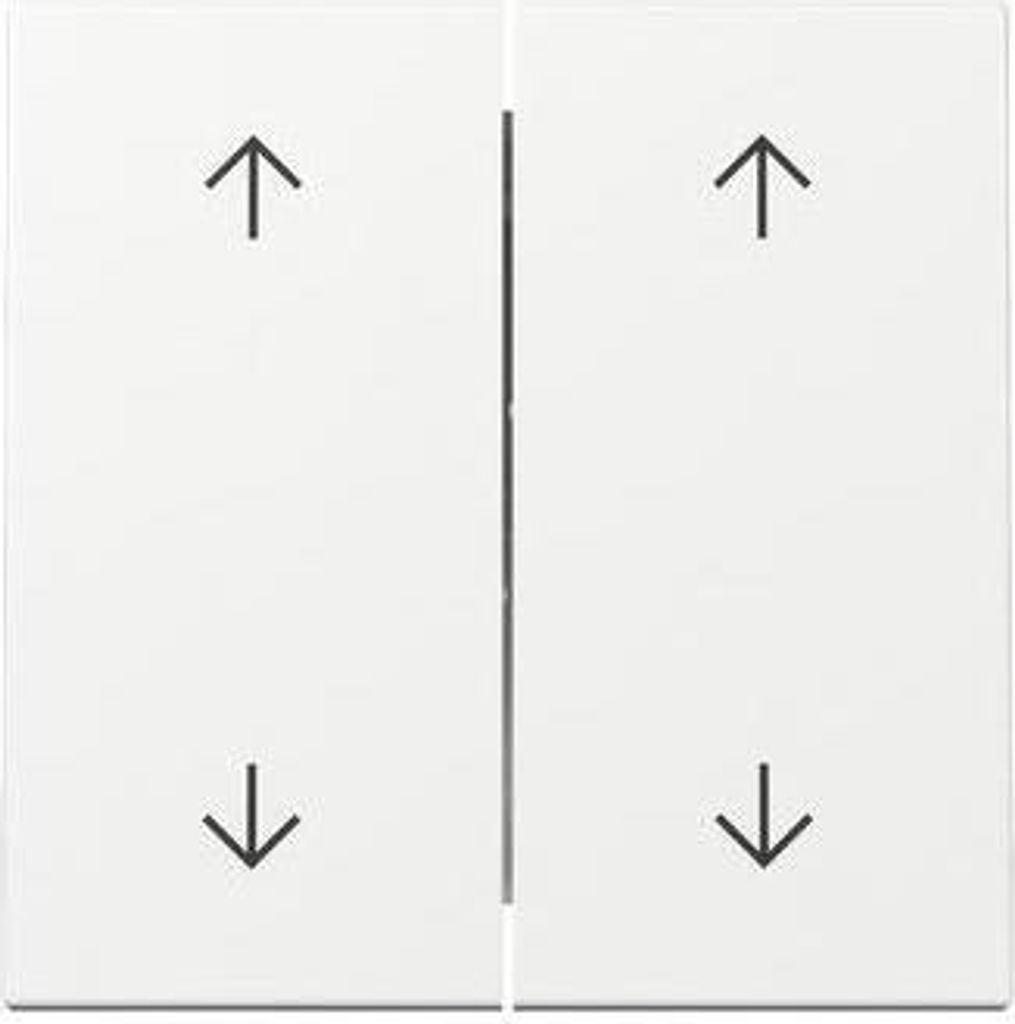 Gira Wippe 2f Pfeile, System 55, Reinweiß, 1 Stk.