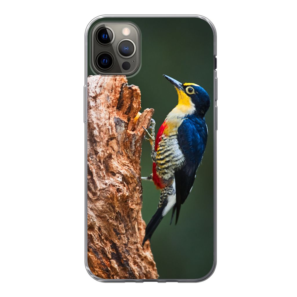 MuchoWow Handyhülle Schutzhülle Hülle für iPhone 12 Pro Max Nahaufnahme eines bunten Vogels auf der Seite eines Baumstamms Silikon Softcase H...