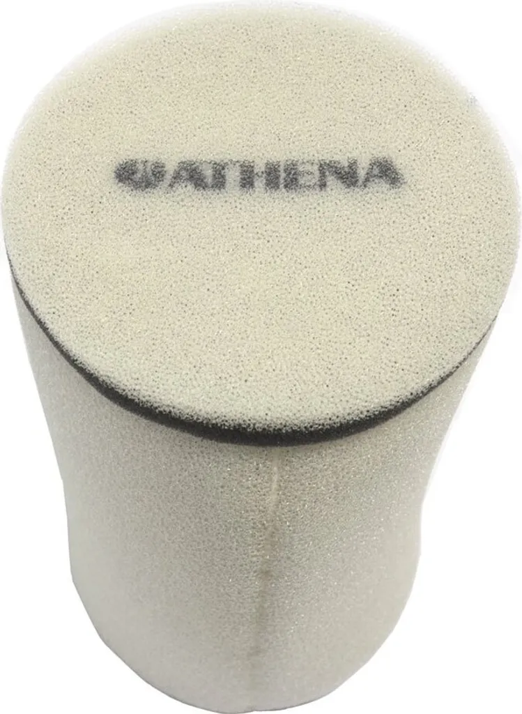 Filtre à air Athena S410427200004 haute filtration pour votre Polaris