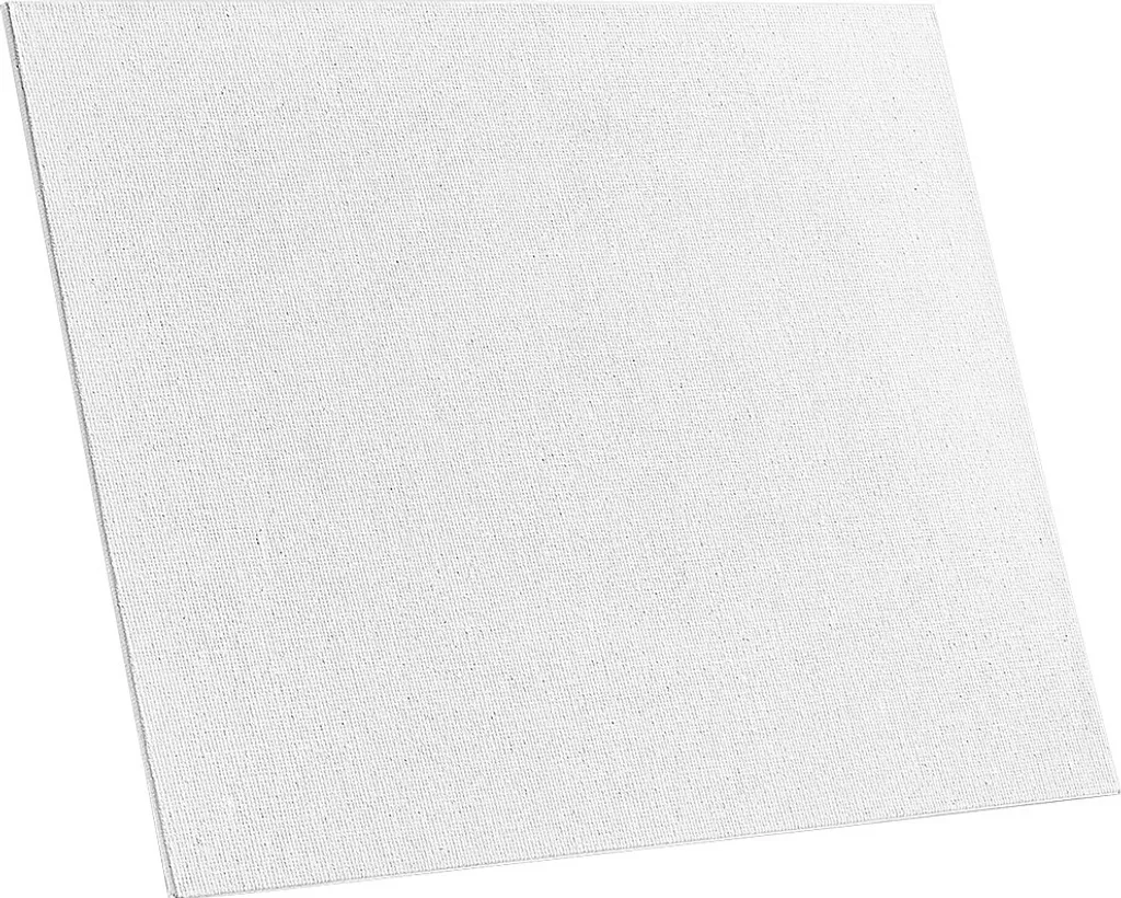 24 Tele per Dipingere SucceBuy 22,9x30,5 - Ideali per Bambini e Hobby