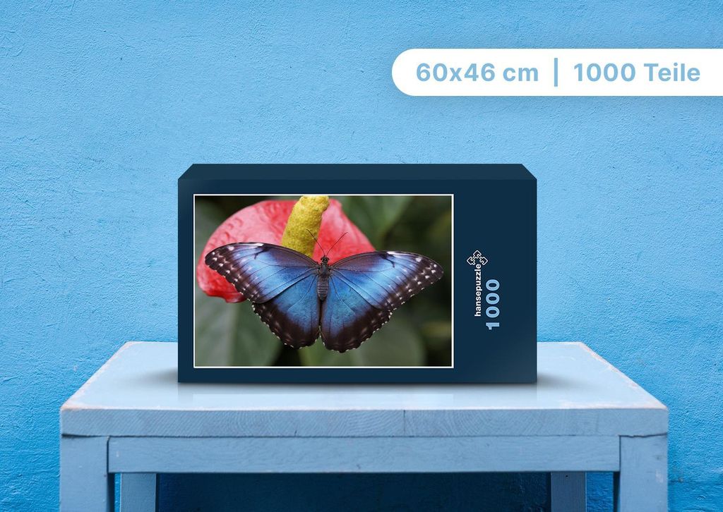 hansepuzzle 96871 - Schmetterling Puzzle, 1000 Teile, Tierwelt, 60,0 x 46,0cm mit hochwertiger Aufbewahrung, Kartonbox & Beutel