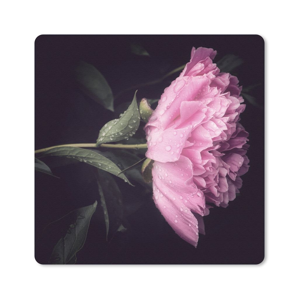 MuchoWow Mauspad Mousepad Pfingstrose mit Tautropfen 20x20 cm - Mousepads - Maus Mat - Pad - Mausunterlage - Desk Mat - Bureauartikeln