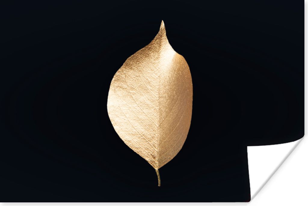 MuchoWow Poster Blätter - Gold - Schwarz - Pflanzen - Luxus 180x120 cm - Fotoplakat